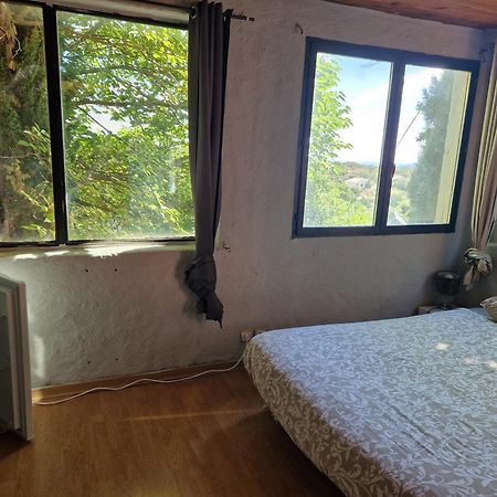 Chambre D'Hote Dans Ancien Musee Bidon Dış mekan fotoğraf